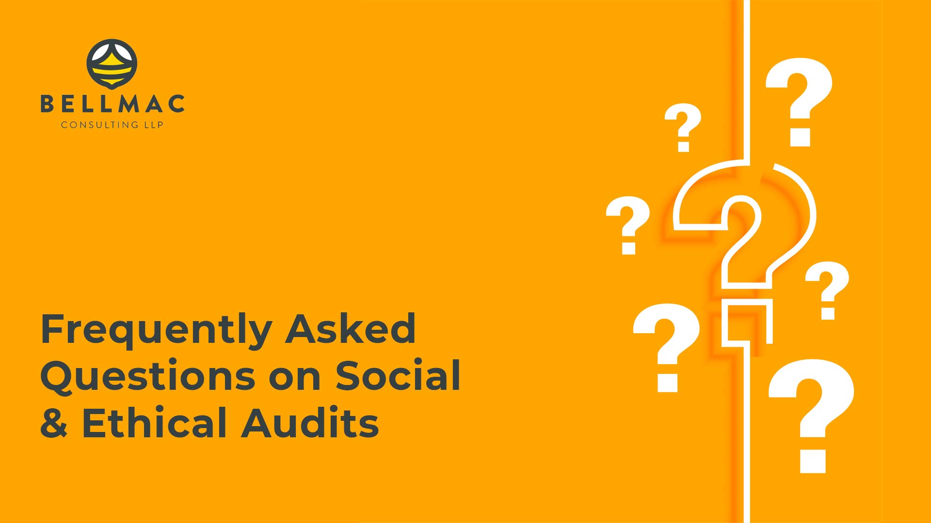 Frequently Asked Questions On Social And Ethical Audits