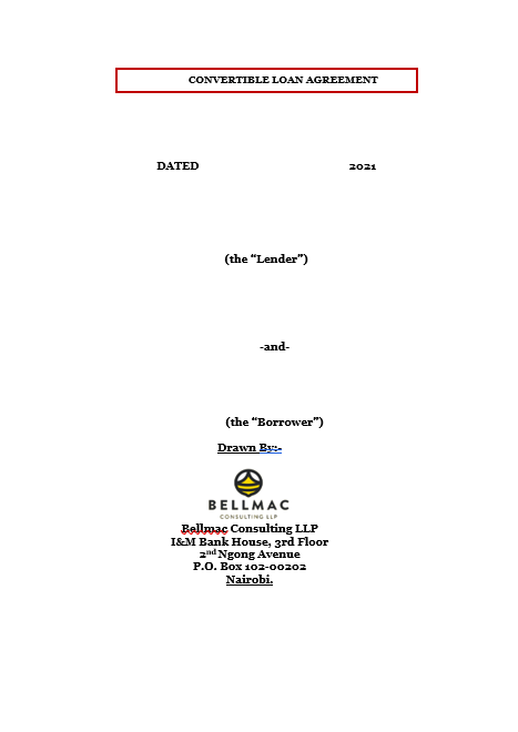 Convertible Loan Agreement document preview