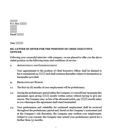 Letter of Offer for CEO - Banking Sector document preview
